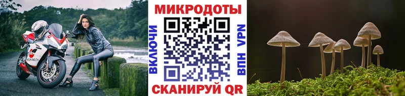 Псилоцибиновые грибы мицелий  купить наркотики цена  Полесск 